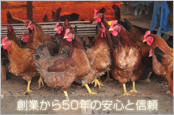 ���������̔閧